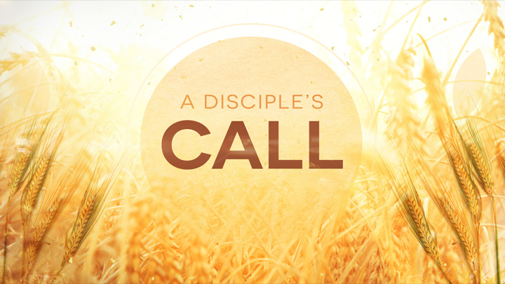 disciple discipleship someone activities